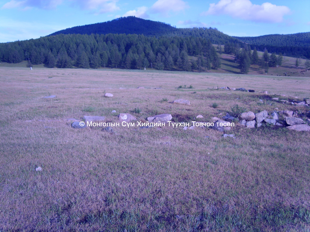 Баруун талаас авсан